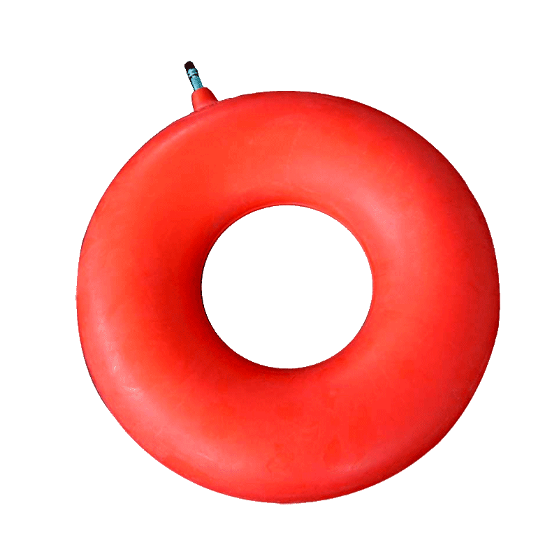 Ciambella Dolphin