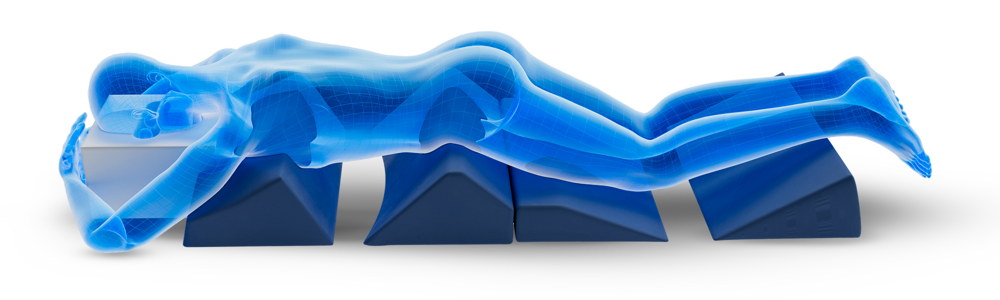 biprone-lateral-view